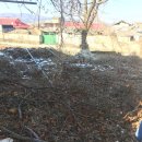 영천공인중개사사무소 이미지