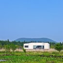 솔트리수목원 이미지