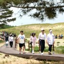 태안군, 2025 대한민국 사구축제 열려(서산태안TV) 이미지