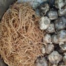 구월건강원 이미지