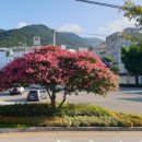 부민공인중개사사무소 이미지