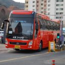 효주여행사 이미지