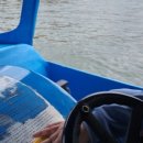 CU 세종대학생회관점 이미지