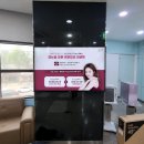 ㈜쥬비스다이어트 목동점 네이버블로그