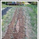 송권농장 이미지