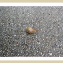 미니 슈퍼 이미지