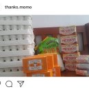 모모상회