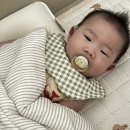 2022-주175 네이버블로그
