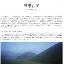 [전시회 산책] 배병우 展 - 아트선재미술관(경주) 이미지