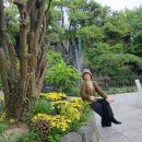 삼원숯불갈비 | 초대하고 싶은 강남 압구정 한우맛집, 정원 속에서 대접받는 삼원가든의 힐링타임