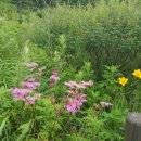 구례향기 이미지