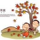 寒露(한로)의 뜻. 이미지