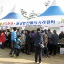 [경상남도 밀양시] 밀양무안 맛나향 고추축제 2015.04.17 ~ 2015.04.19 이미지