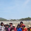행정초등학교 Daum카페