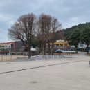 심원초등학교병설유치원 이미지