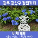 광주 수국카페 정원, 비채카페 힐링되는 숲속 뷰 방문 상세후기!!