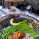 춘천시청 화장실 이미지