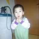 아씨패턴 후기