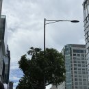 멍이랑 양이랑 | 강남다이어트병원 복부지방분해주사 제로팻주사 1주차 내돈내산 솔직후기