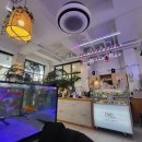 리틀 블루문 이미지