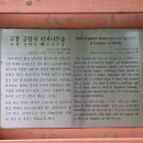 3.고흥/금탑사/녹동항바다정원(2022.6.1) 이미지