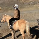 멍멍아 준비땅 | 🇲🇳몽골 여행| 2일차 욜링암 트렉킹 &amp; 승마, 허르헉 후기