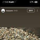 카쥬아루