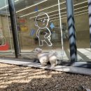 (주)하울팟케어클럽 이미지