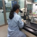 강릉시농업기술센터 이미지