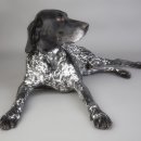 강아지발바닥 이미지