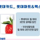 롯테할인마트 이미지