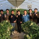 팜솔루션 이미지