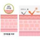 강아지와고양이 이미지