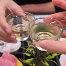 오마카세참치전문점 | 김포 오마카세 맛집｜참다랑어 전문 '참치, 오마카세하다' 풍무동 후기