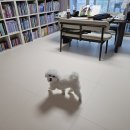 동신아파트 | 서산 대림동신아파트 층간소음매트 시공 후기｜고정형 가구 많은 거실 이렇게 시공합니다