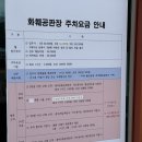 미니화니유통 | 어버이날 준비 - 양재꽃시장 영업시간, 주차정보, 가격대 (호갱 안 당하는 법) + 꽃꽂이 후기