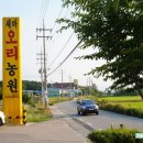 세마오리농원 이미지