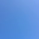 예이제448 이미지