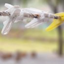 보랏빛산채마을 이미지