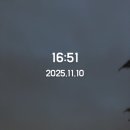 (주)라이브투어 | 영국워홀 11월 3째주, 최고와 최악의 근무일...롤 명예영국인 추천 과자, 투어라이브 크루 후기 13기 지원