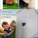 포낙보청기대전신탄진센터 | 포낙보청기 대전서구도마센타, 귀 건강 솔루션 제대로 찾았어요!