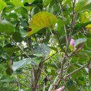 느티농원 이미지