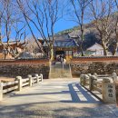 용연사 Daum카페