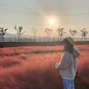 강변노래연습장 이미지