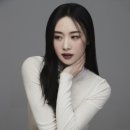 니콜