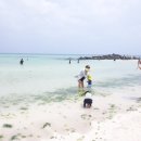 한울타리펜션민박 이미지