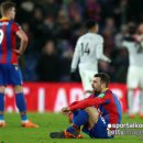 팰리스 독 이미지