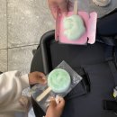리틀램스테이 in 하도 민박 | 제주 11일차(제주아쿠아플라넷,오션아레나,유미의세포들,리틀램스테이,면수동흙돼지,하도맛집,성산맛집)