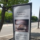파주 출판단지 감성 베이커리 라본느베이커리 내돈 내산 후기