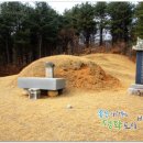 신호 묘 이미지